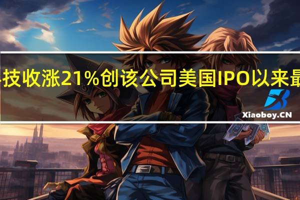 戴尔科技（DELL）收涨21%创该公司美国IPO以来最大单日涨幅
