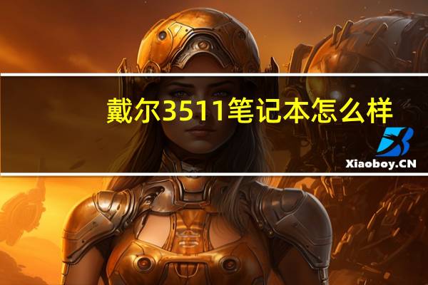 戴尔3511笔记本怎么样（戴尔的笔记本怎么样）
