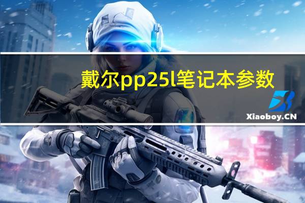 戴尔pp25l笔记本参数（戴尔pp25l）