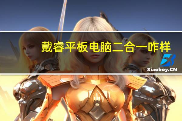戴睿平板电脑二合一咋样