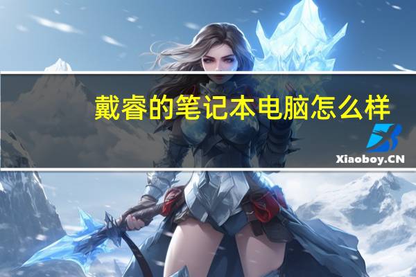 戴睿的笔记本电脑怎么样