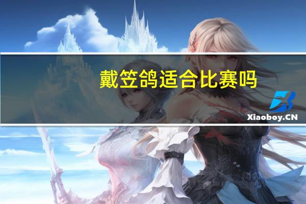 戴笠鸽适合比赛吗