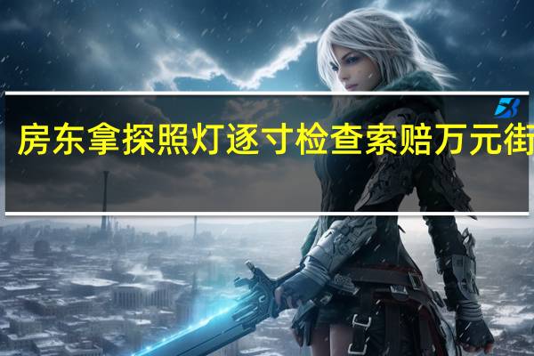 房东拿探照灯逐寸检查索赔万元街道办：最终租客赔偿四千 到底什么情况呢