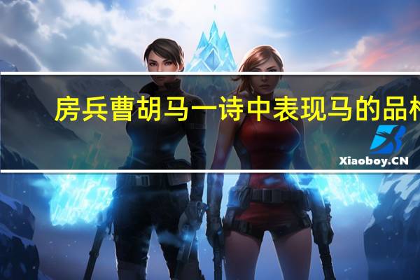 房兵曹胡马一诗中表现马的品格