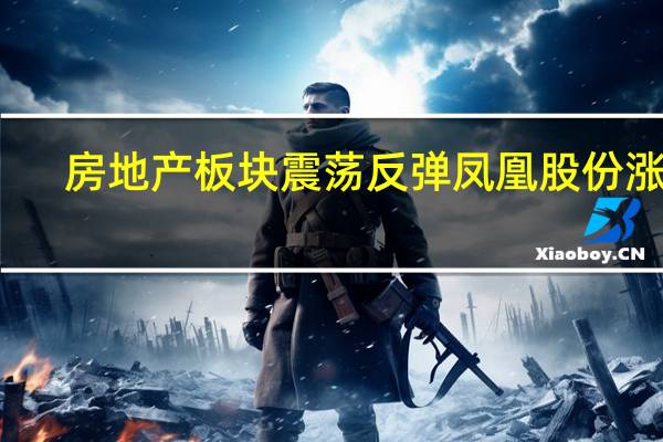房地产板块震荡反弹 凤凰股份涨停