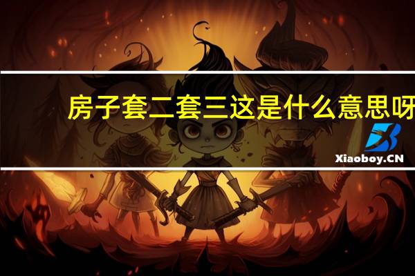 房子 套二 套三 这是什么意思呀（房子 套二 套三 这是什么意思）