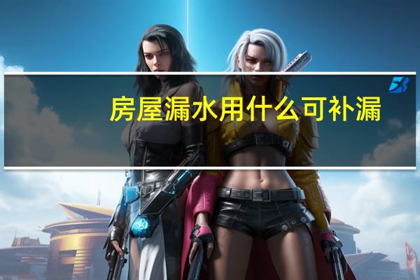 房屋漏水用什么可补漏