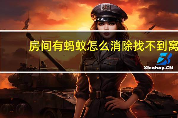 房间有蚂蚁怎么消除 找不到窝(房间有蚂蚁怎么消除)