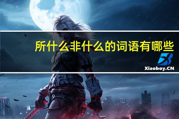 所什么非什么的词语有哪些?