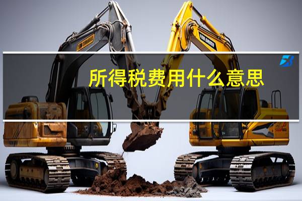 所得税费用什么意思