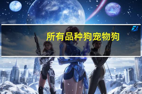 所有品种狗宠物狗