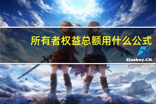 所有者权益总额用什么公式