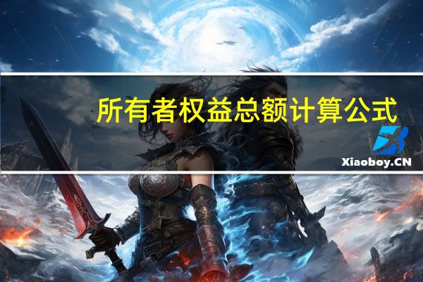 所有者权益总额计算公式