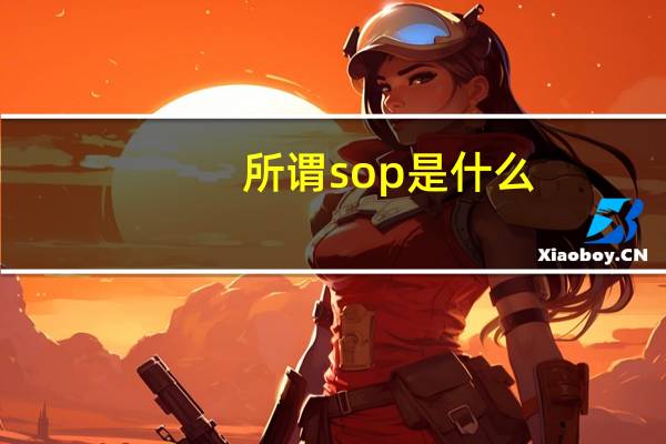 所谓sop是什么（sop和sip是什么意思）