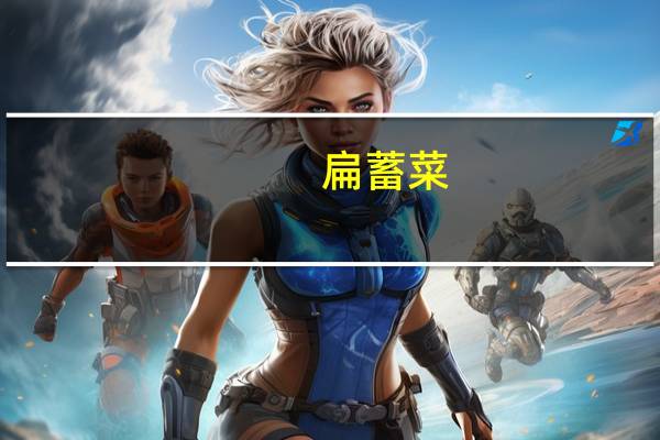 扁蓄菜（扁蓄）