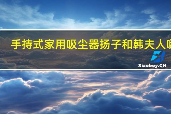 手持式家用吸尘器扬子和韩夫人哪个