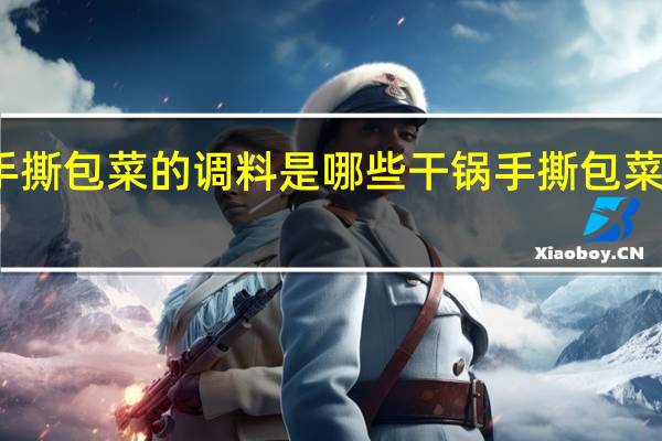 手撕包菜的调料是哪些 干锅手撕包菜的做法