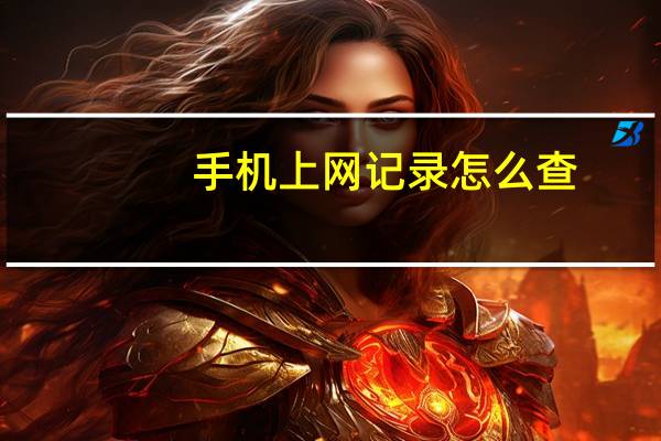 手机上网记录怎么查（手机上网管理）