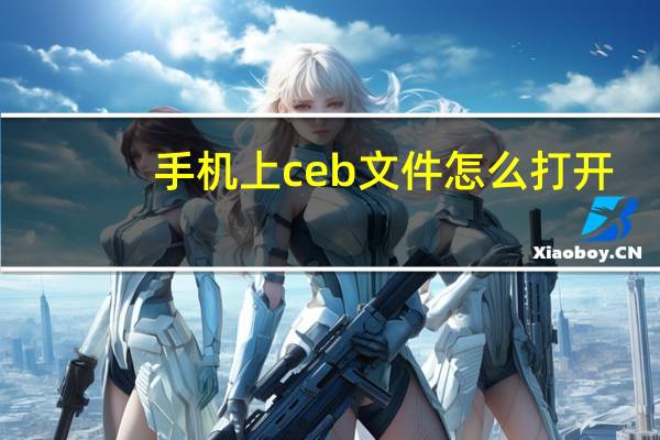 手机上ceb文件怎么打开（cebx文件怎么打开）