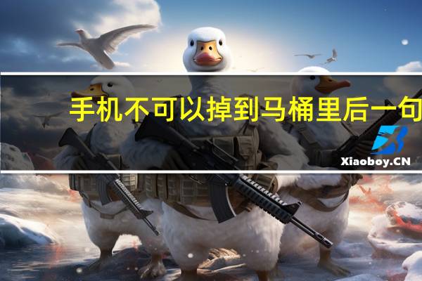 手机不可以掉到马桶里后一句（手机不可以掉到马桶里）