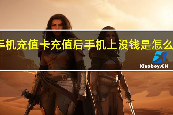 手机充值卡充值后手机上没钱是怎么一回事(手机充值卡充值)