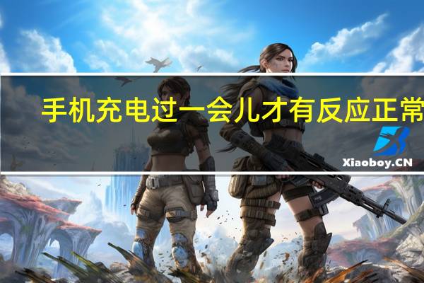 手机充电过一会儿才有反应正常吗（手机充电只有一瞬间有反应）