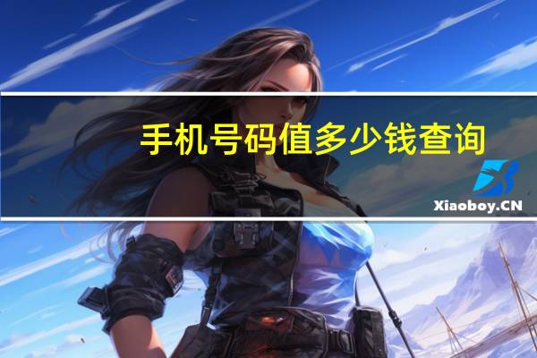 手机号码值多少钱查询（手机号值多少钱查询）