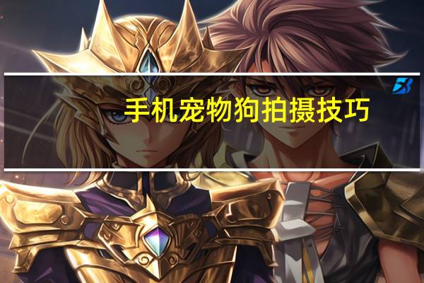 手机宠物狗拍摄技巧