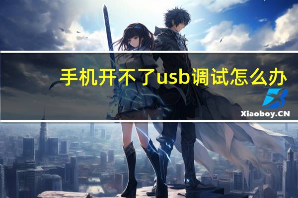 手机开不了usb调试怎么办（手机无法开机怎么打开usb调试）