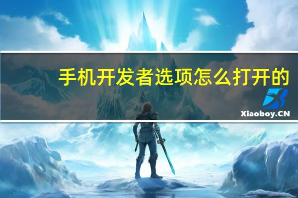手机开发者选项怎么打开的（手机开发者选项怎么打开）