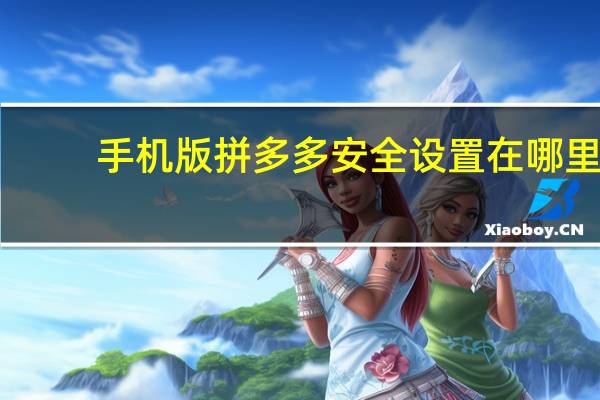 手机版拼多多安全设置在哪里（拼多多安全设置在哪里）