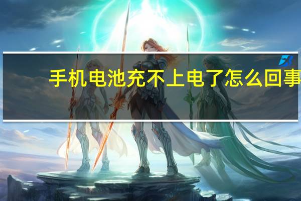 手机电池充不上电了怎么回事（手机电池充不上电）