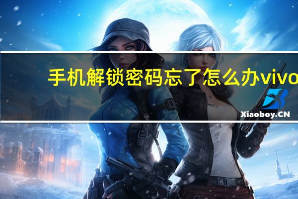 手机解锁密码忘了怎么办vivo（手机解锁密码忘了怎么办）