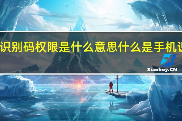 手机识别码权限是什么意思 什么是手机识别码权限