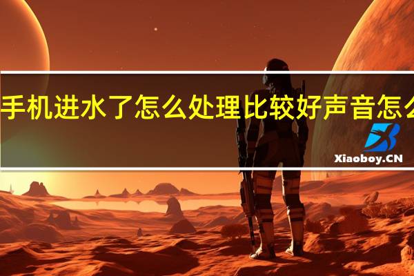 手机进水了怎么处理比较好声音怎么变了?苹果(手机进水了怎么处理)