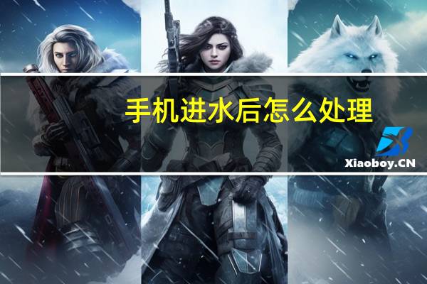 手机进水后怎么处理?(手机进水后应该怎么处理)