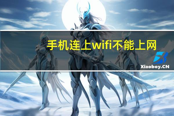 手机连上wifi不能上网（手机wifi上网设置）