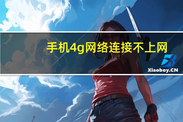 手机4g网络连接不上网（手机4g网络连接不上）