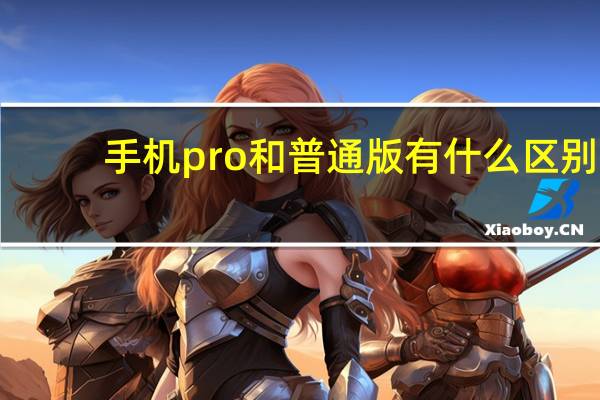 手机pro和普通版有什么区别