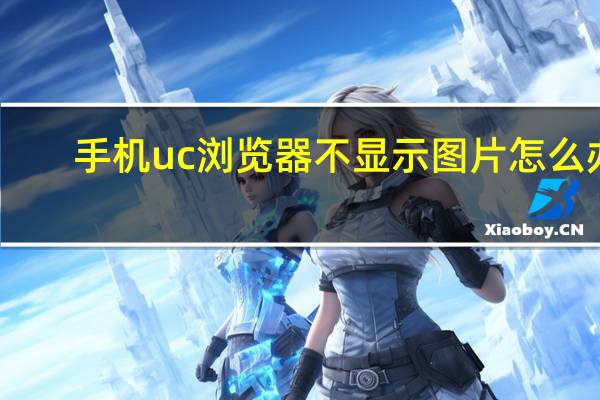手机uc浏览器不显示图片怎么办（手机uc浏览器）