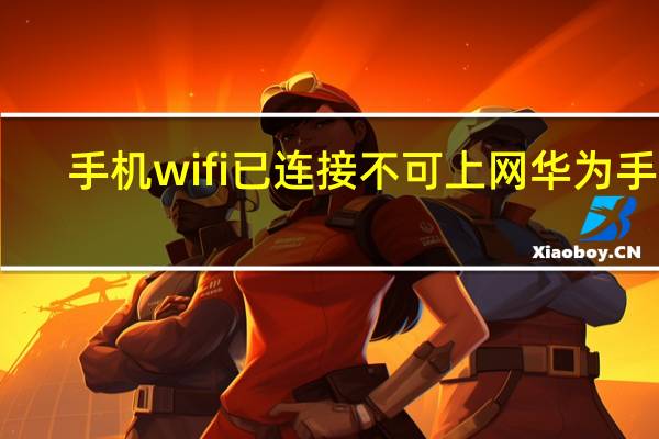 手机wifi已连接不可上网华为手机（手机wifi已连接(不可上网)）