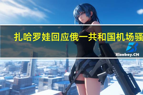 扎哈罗娃回应俄一共和国机场骚乱：“基辅政权发挥直接和关键作用”