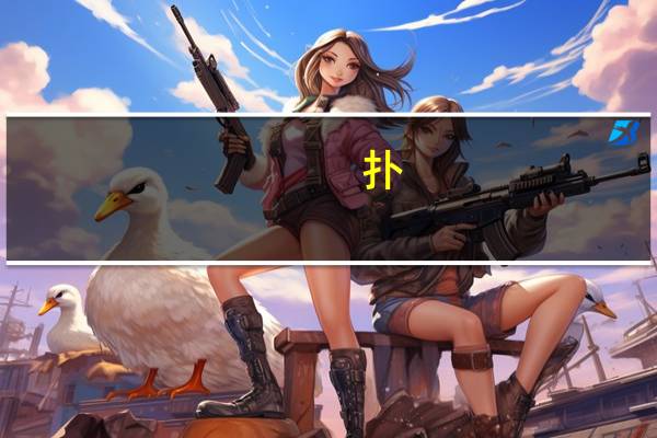 扑（关于扑的介绍）