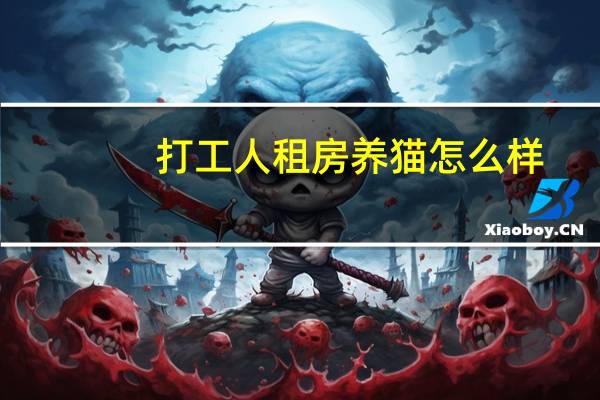 打工人租房养猫怎么样