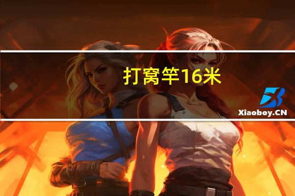 打窝竿16米（打窝竿）