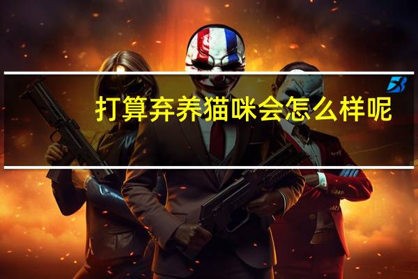 打算弃养猫咪会怎么样呢