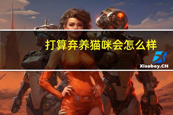 打算弃养猫咪会怎么样
