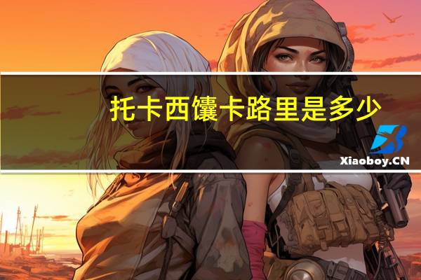 托卡西馕卡路里是多少
