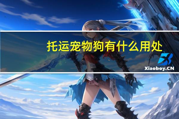 托运宠物狗有什么用处