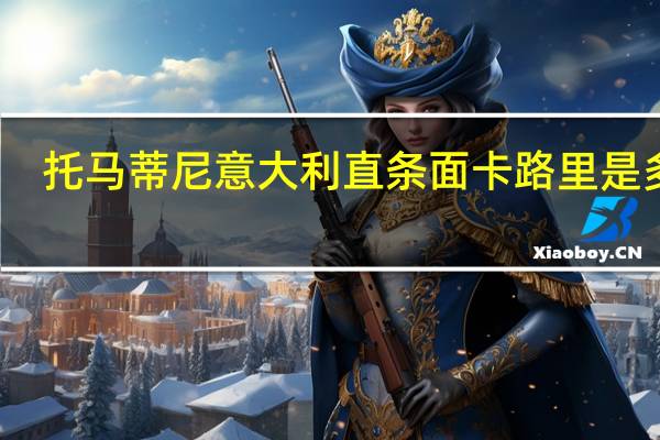 托马蒂尼 意大利直条面卡路里是多少